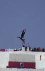 FIS FreeStyle Moscow 2009