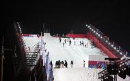 FIS FreeStyle Moscow 2009