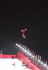 FIS FreeStyle Moscow 2009